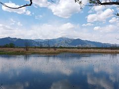 -野鸭湖国家湿地公园