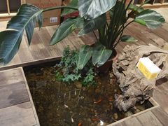 -邈墨茶馆(大兜路1号店)