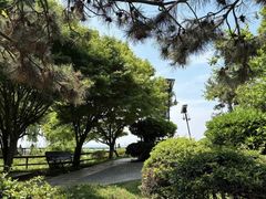 -八大关景区