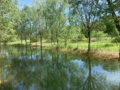 -永定河休闲森林公园