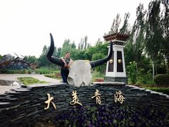 -武清南湖绿博园