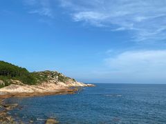 -广东惠东海龟国家级自然保护区