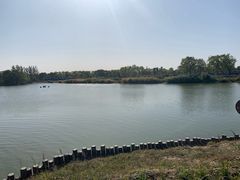 -大兴滨河森林公园