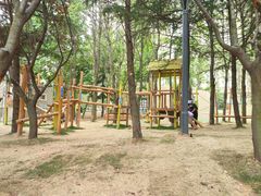 -李村大集