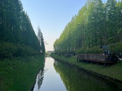 -黄海国家森林公园