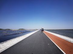 -南大港湿地风景区