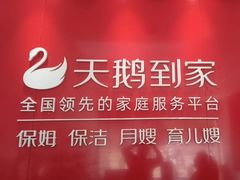 -天鹅到家·保姆月嫂育儿嫂(朝阳店)
