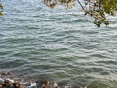-巴拉湾海滩