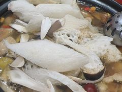 -菌之家·专业纯野生菌火锅·特色炒菌