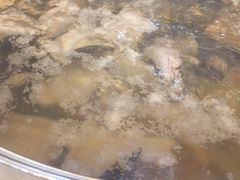 -榕记(番禺总店)