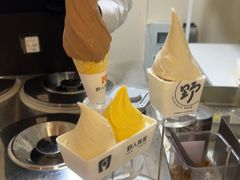 -野人先生现做冰淇淋(北京环宇荟店)