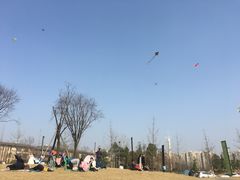 -两河城市森林公园