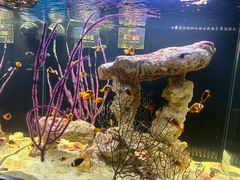 -沈阳海洋探索中心