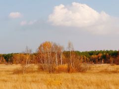 -塞罕坝国家级自然保护区