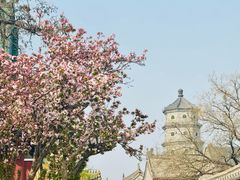 -天津大悲禅院