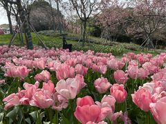 -凤凰沟景区