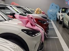 -上海浦东smart汽车全功能店(金桥店)