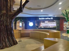 -luckincoffee瑞幸咖啡(恒大广场B1店)