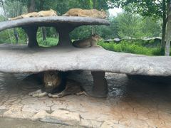 -北京野生动物园