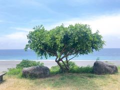 -太鲁阁公园