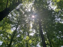 -柳莺湖上·湖景餐厅·江南菜(西湖店)