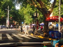 -上海交通大学医学院附属瑞金医院(总院)