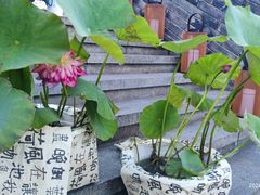 -鼓楼(西湖风景名胜区)