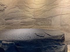 -白鹤梁水下博物馆