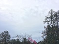 -龙苍沟森林公园