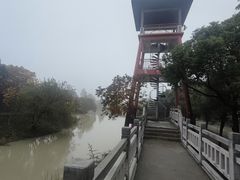 -中国扬子鳄村