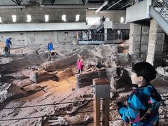 -自贡恐龙博物馆