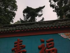 -青羊宫