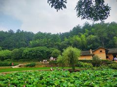 -韶山毛泽东同志故居