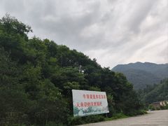 -牛背梁国家森林公园