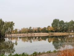 -东郊湿地公园