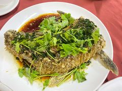 葱油鱼-初记小厨(特色步行街店)