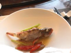 -潮汕味道·煮海餐厅(金麟大厦店)