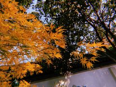 -秋霞圃