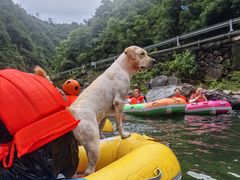 -安吉龙王山峡谷漂流