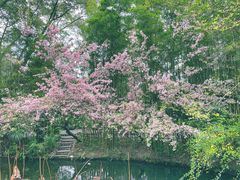 -成都杜甫草堂博物馆