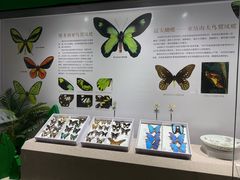 -烟台市博物馆