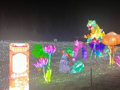 -金沙湖旅游度假区