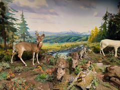 -陕西自然博物馆