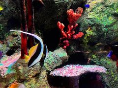 -沈阳海洋探索中心