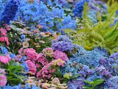 -武汉园博园(武汉自然博物馆)