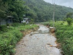 -鼎湖山风景区