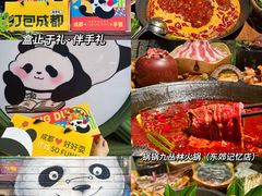 -成都大熊猫繁育研究基地