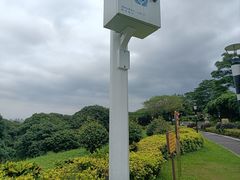 -立新湖公园