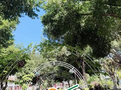 -集美学村