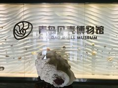 -青岛贝壳博物馆